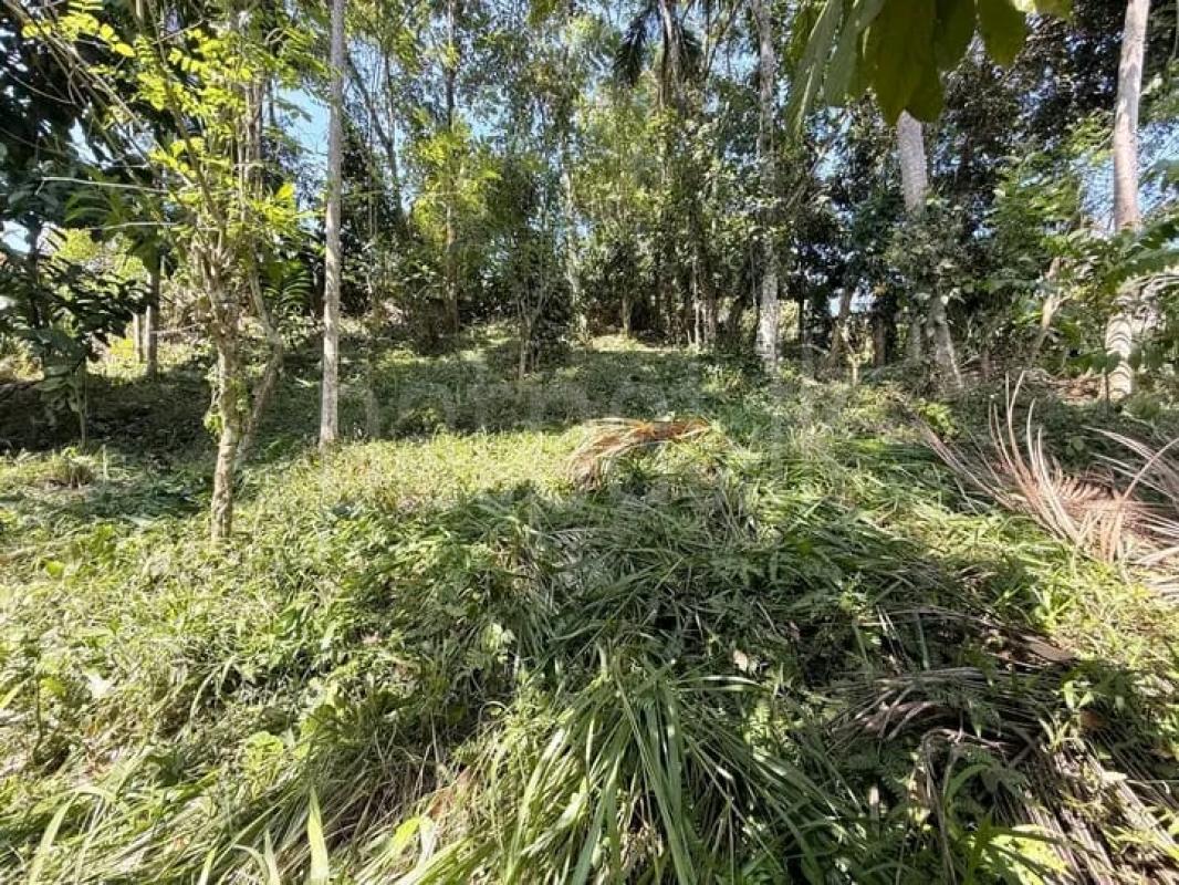 Commercial Land for Sale in Kandy ads-image-1