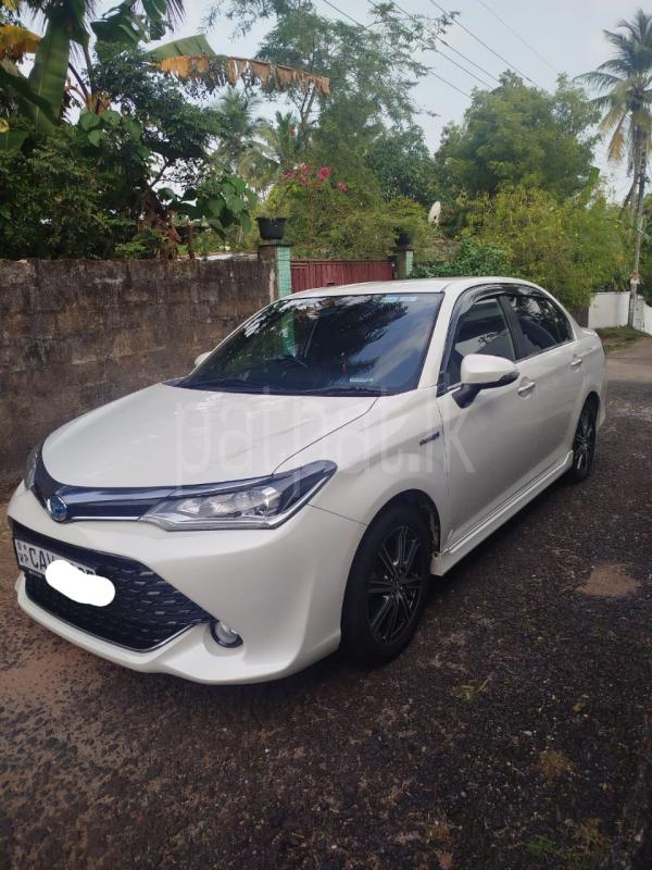 Advertisement image 4