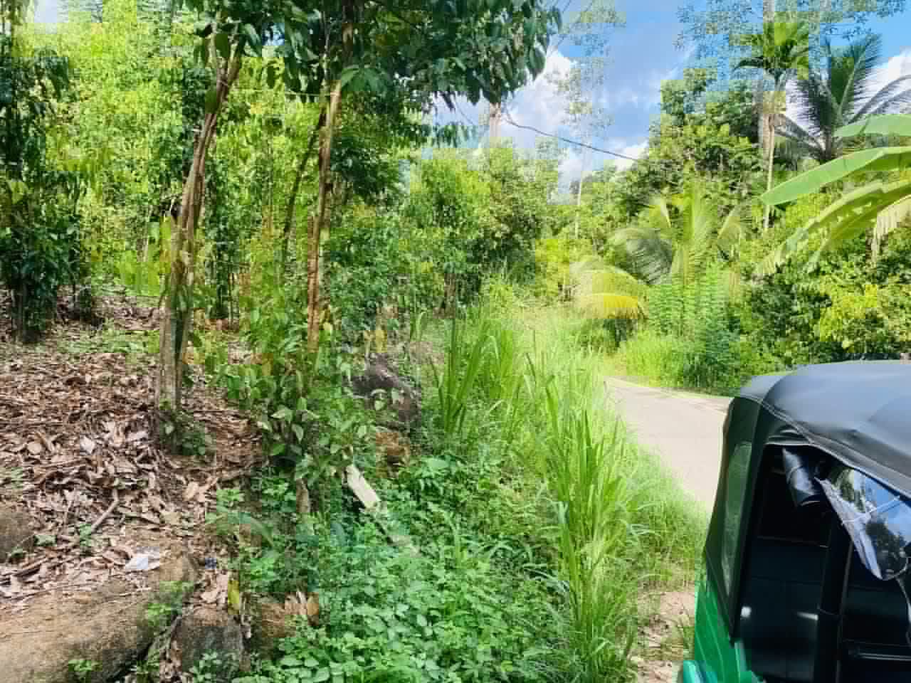 Agricultural Land for Sale in Galle