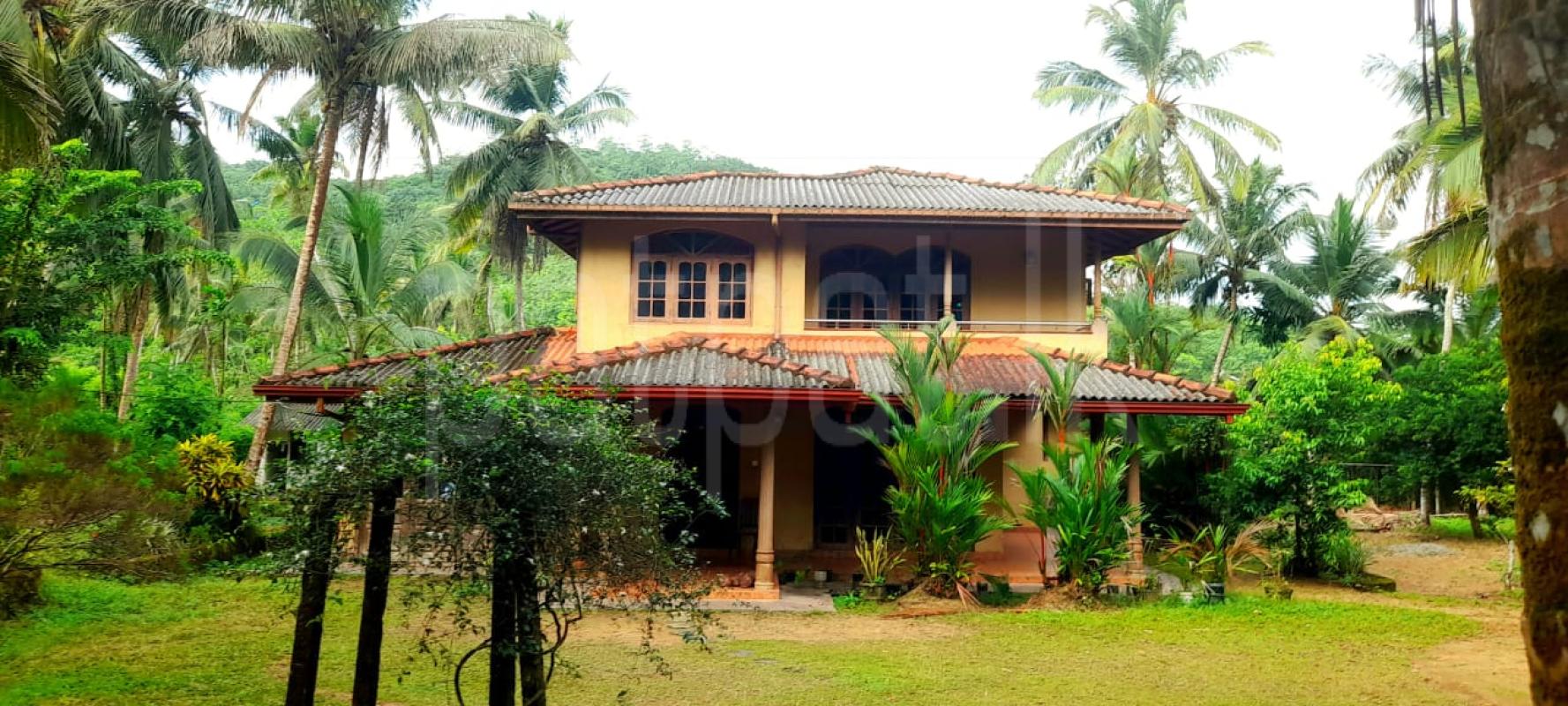 Agricultural Land for Sale in Dompe