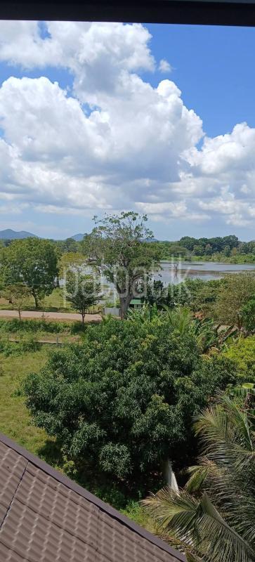 Commercial Land for Sale in Sella Kataragama
