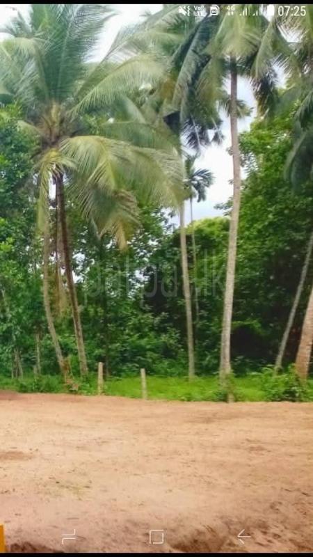 Residential Land for Sale in Divulapitiya