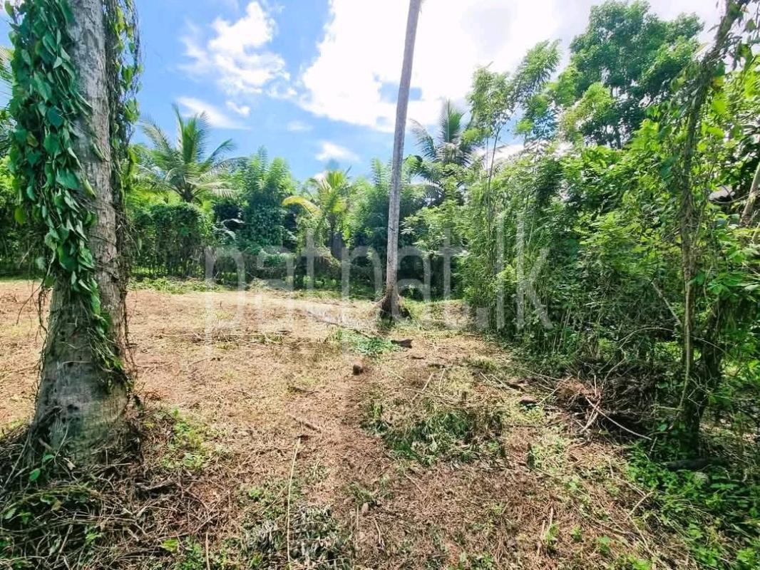 Residential Land for Sale in Kaleliya