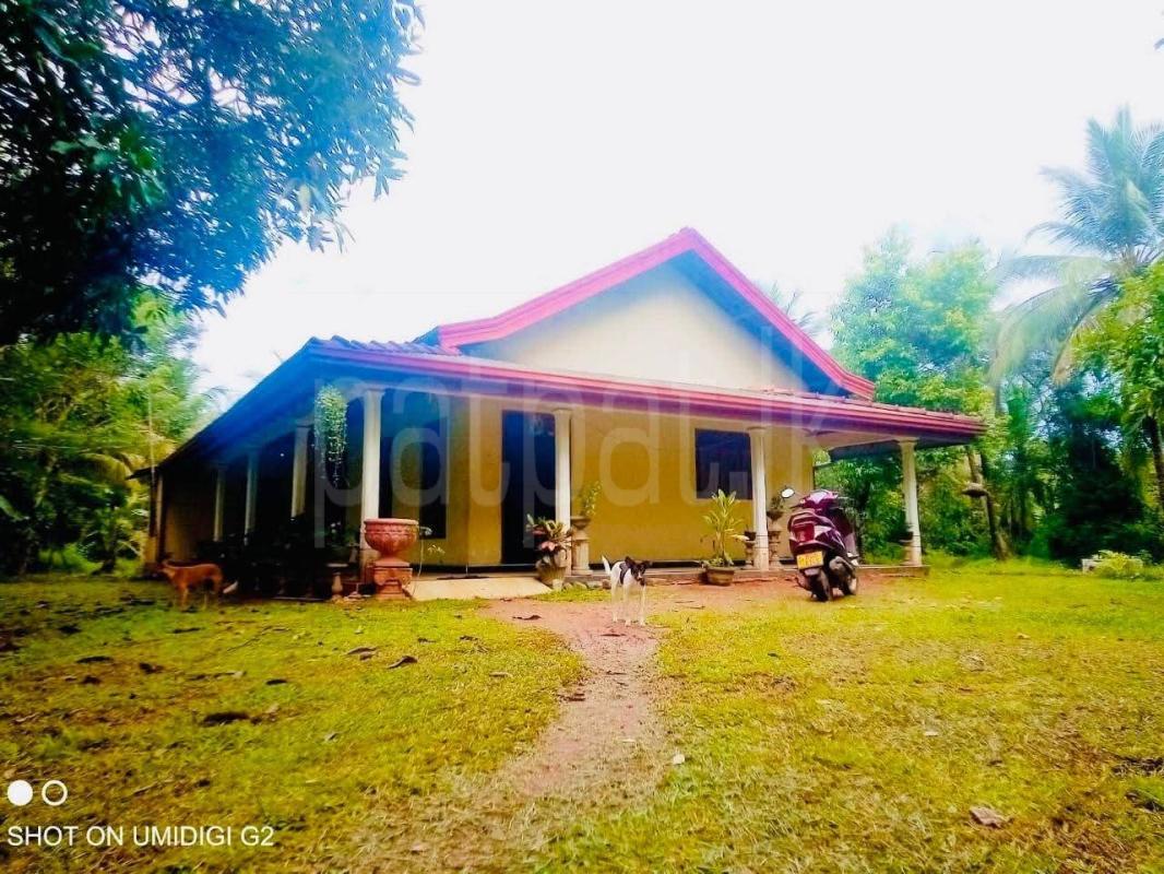House for Sale in Mirigama ads-image-1