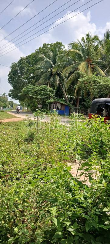 Residential Land for Sale in Kataragama