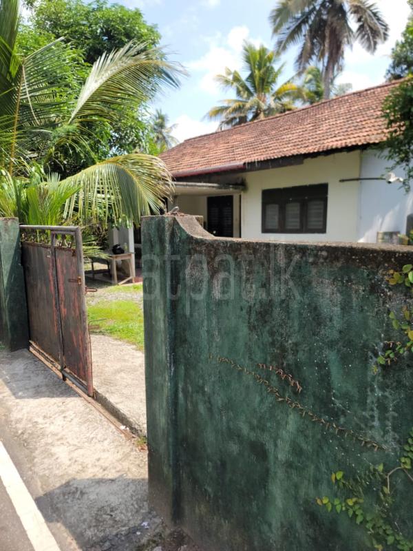 Commercial Land for Sale in Homagama ads-image-1