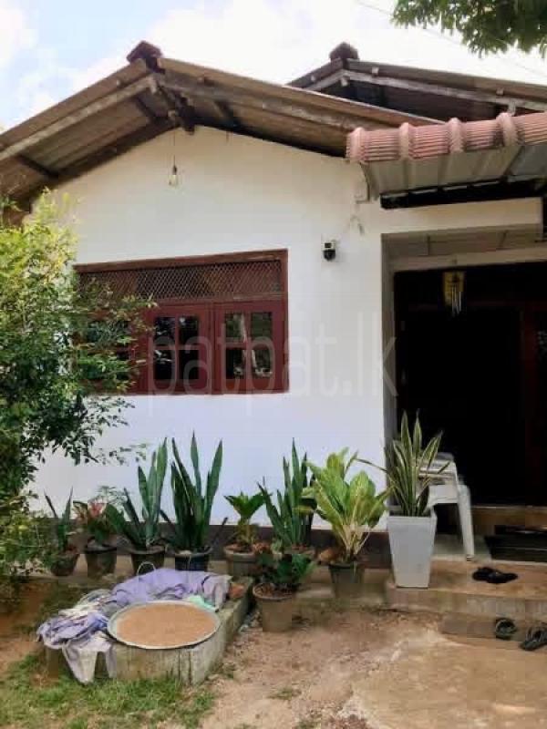 House for Sale in Dompe ads-image-1