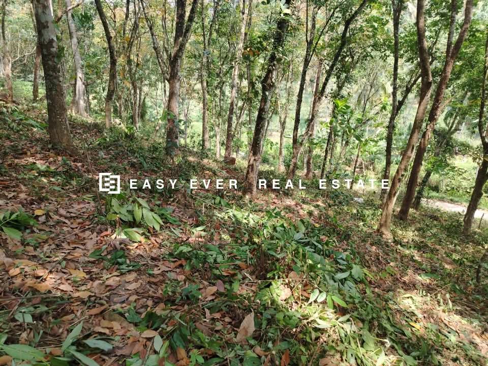 Residential Land for Sale in Mirigama