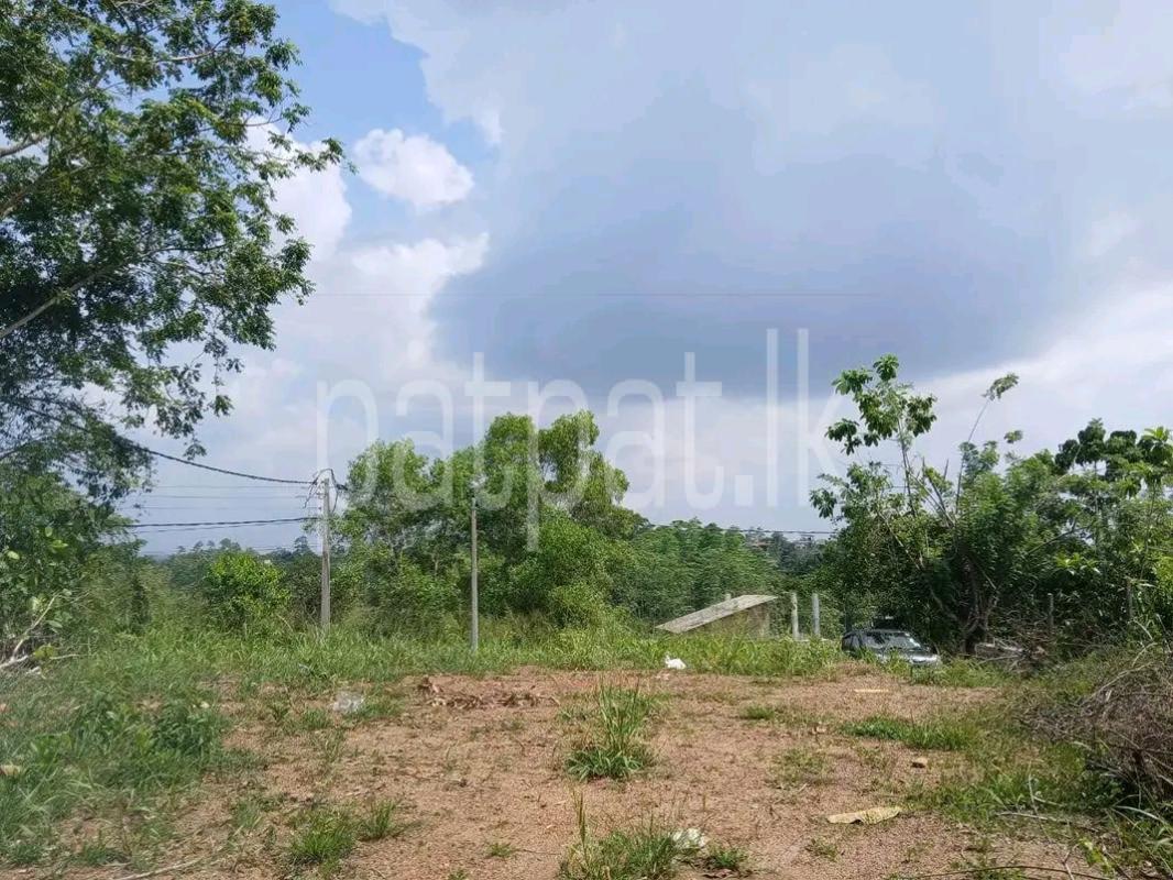 Agricultural Land for Sale in Talawatugoda