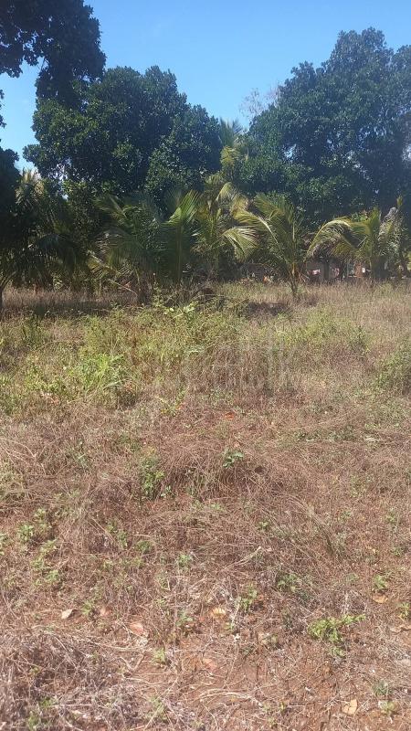 Residential Land for Sale in Weeraketiya