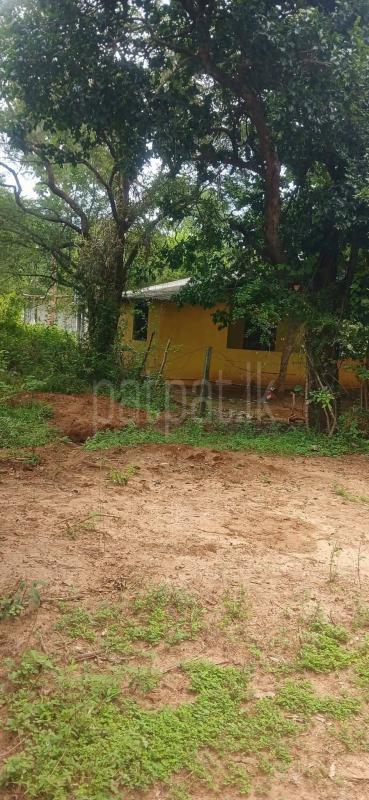 Residential Land for Sale in Kataragama