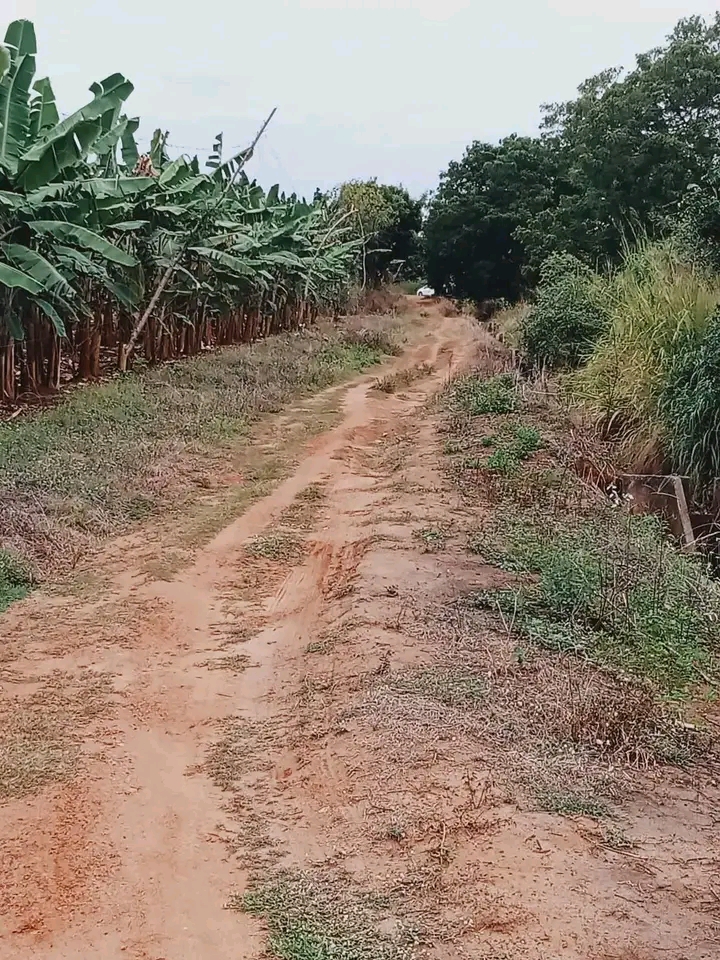 Commercial Land for Sale in Hambantota