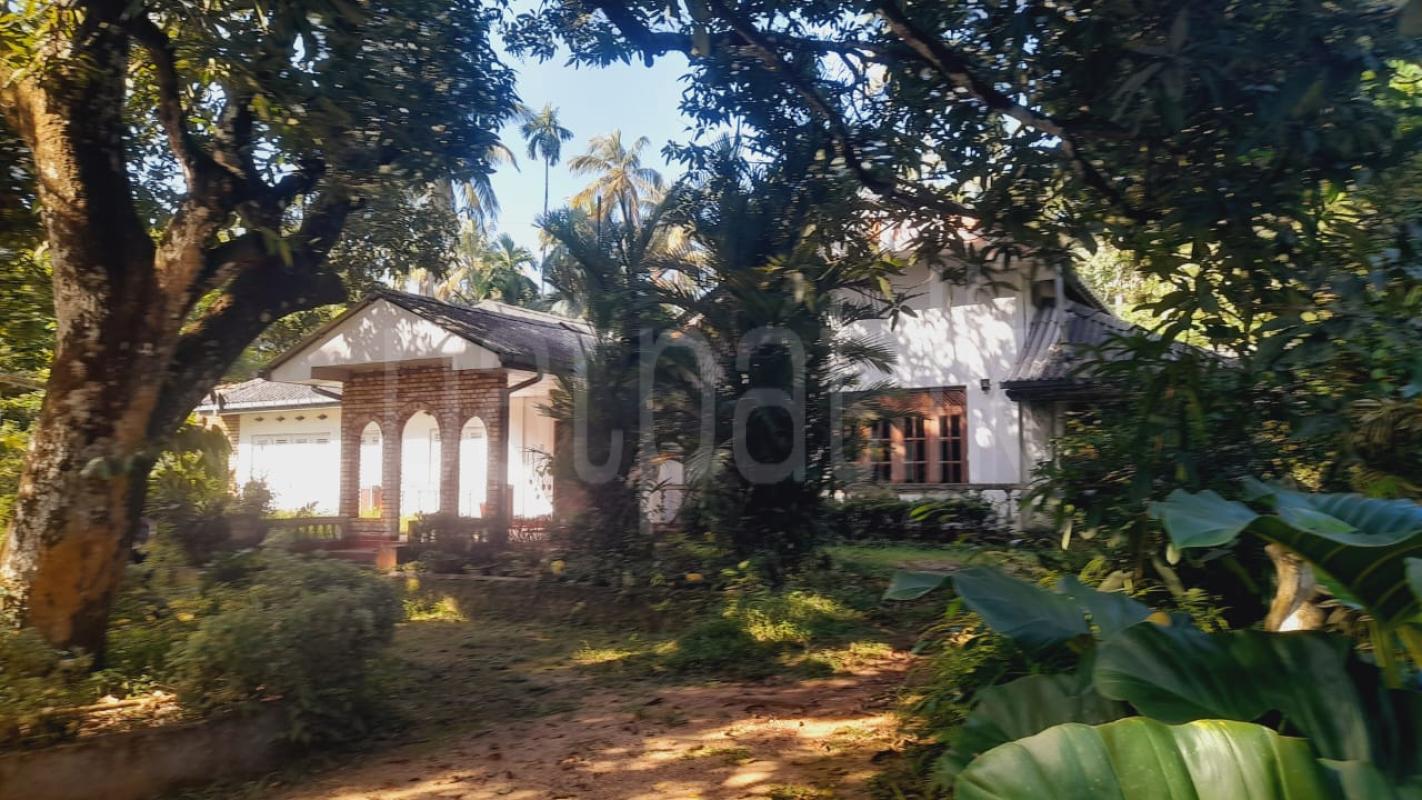 Agricultural Land for Sale in Dompe
