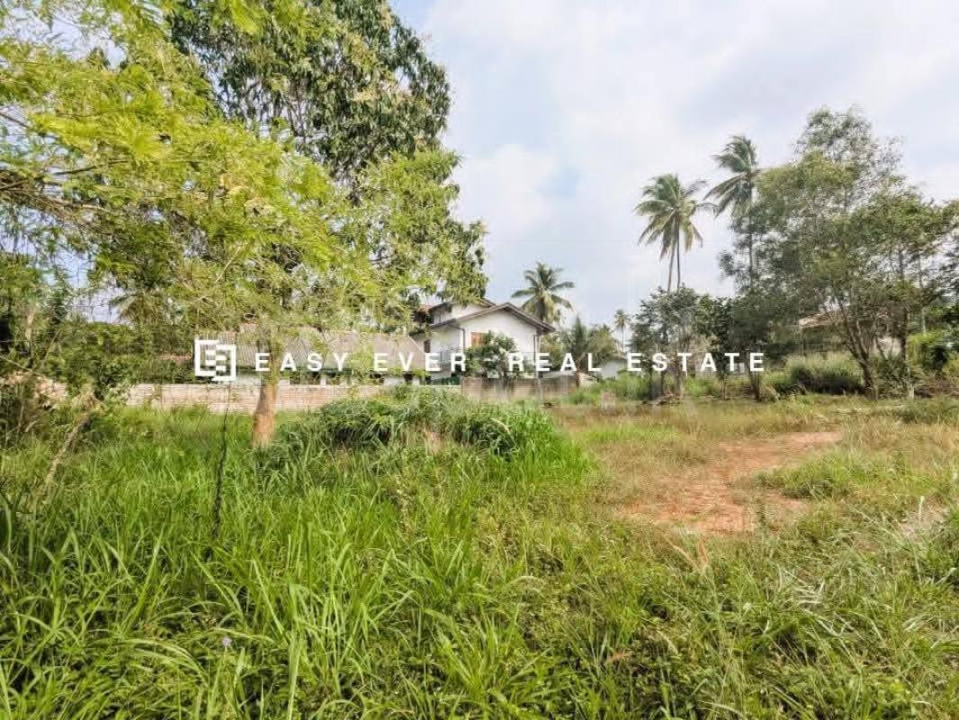 Residential Land for Sale in Nittambuwa