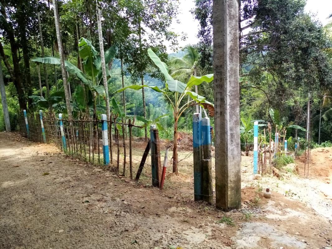 Residential Land for Sale in Pilimatalawa