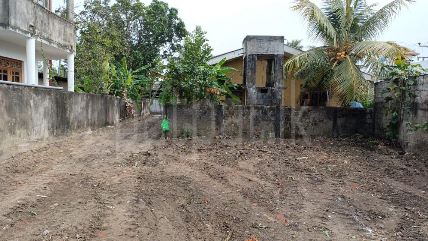 Residential Land for Sale in Adampan ads-image-1