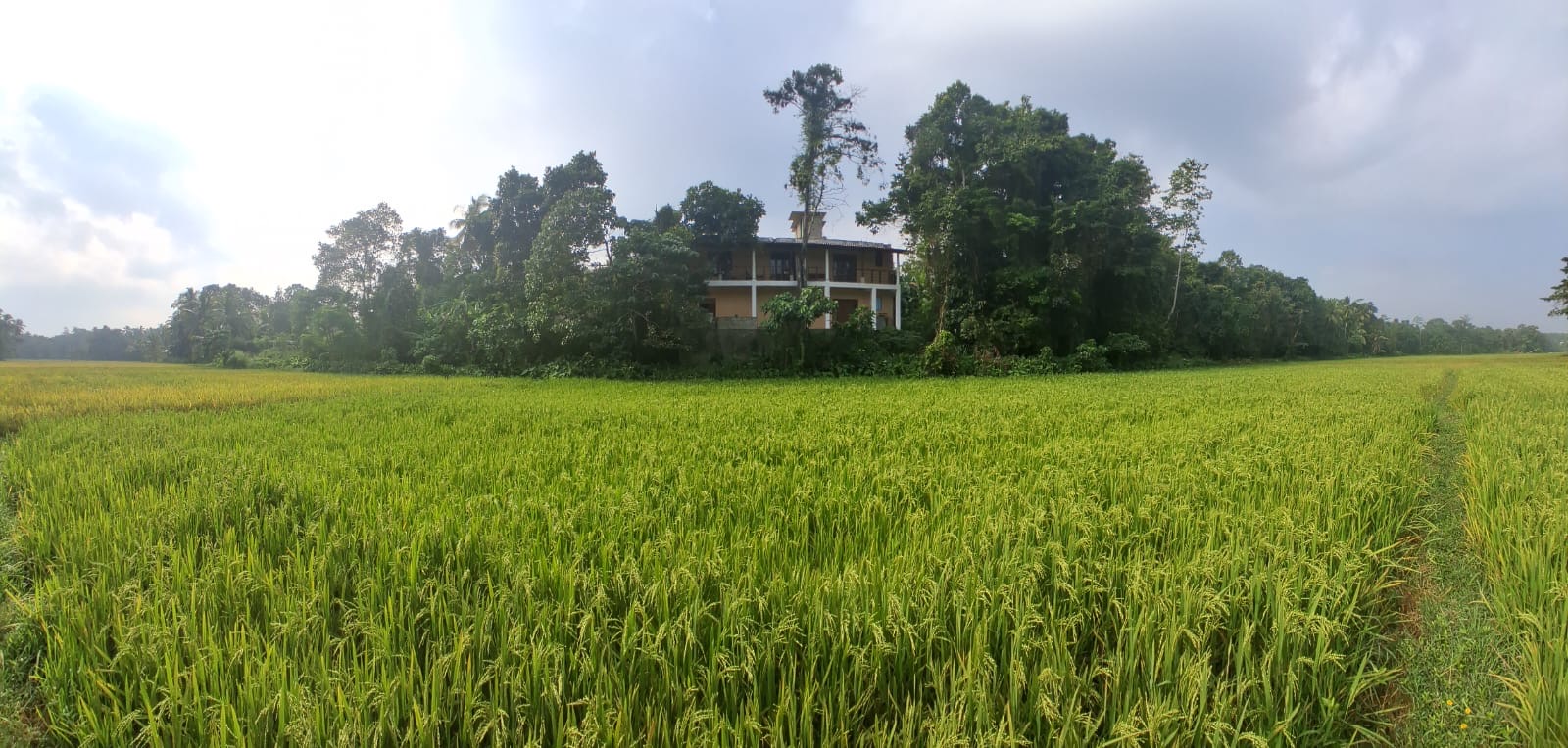 House for Sale in Udugampola