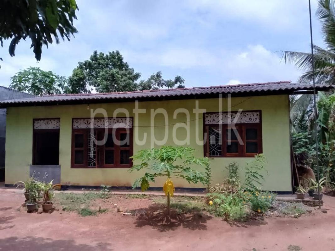 House for Sale in Divulapitiya ads-image-1