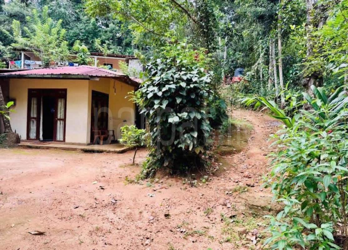 House for Sale in Nawalapitiya