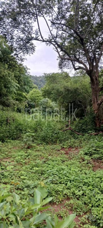 Residential Land for Sale in Kataragama
