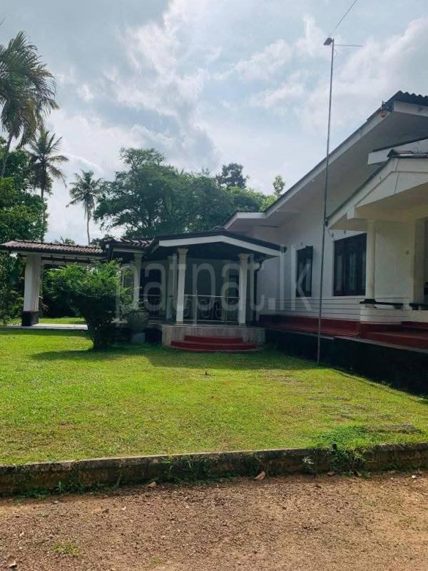 Agricultural Land for Sale in Badalgama ads-image-1