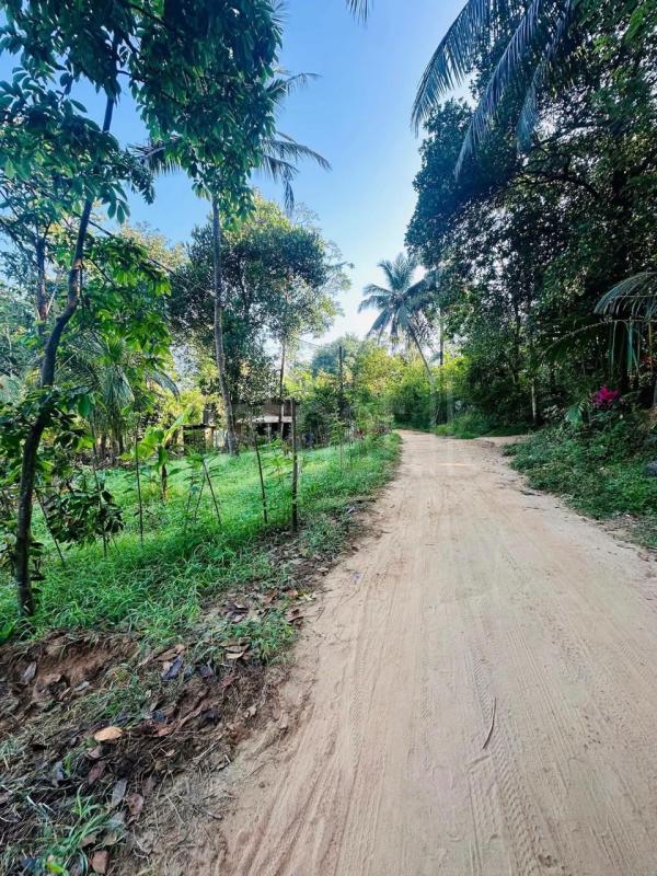Residential Land for Sale in Mahiyanganaya