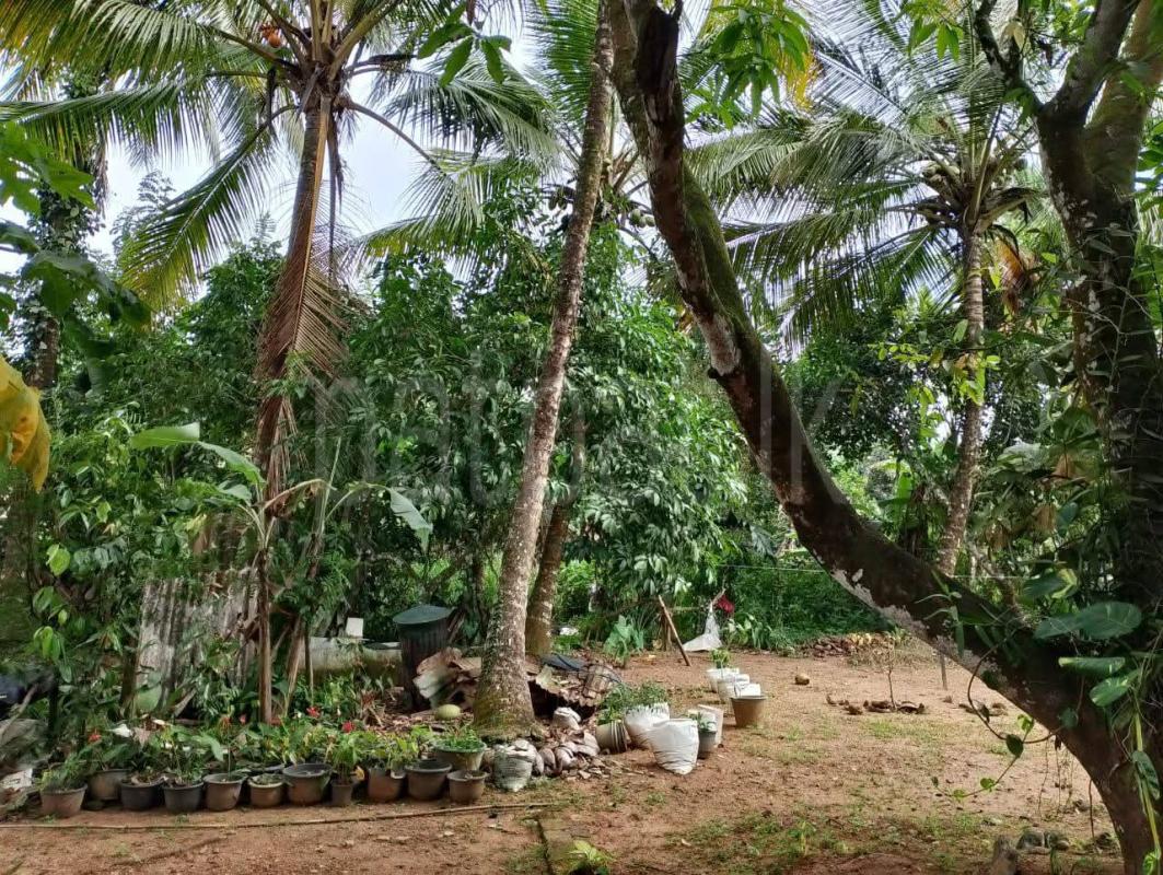 Residential Land for Sale in Horana