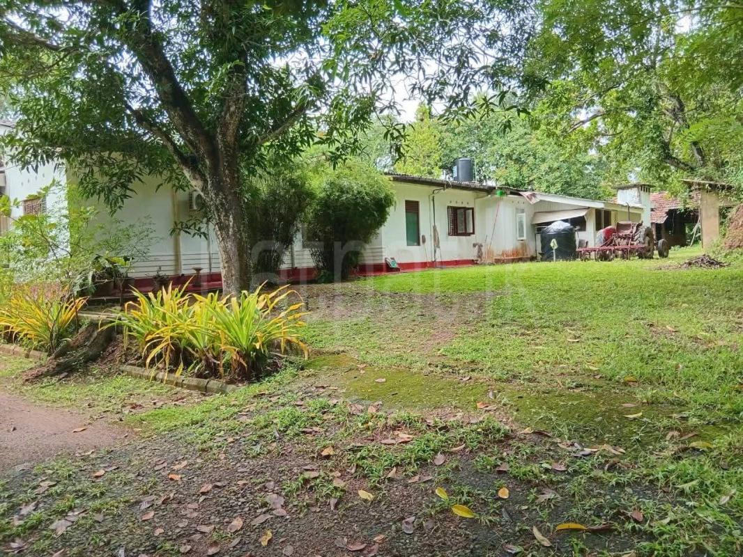 Agricultural Land for Sale in Badalgama ads-image-1