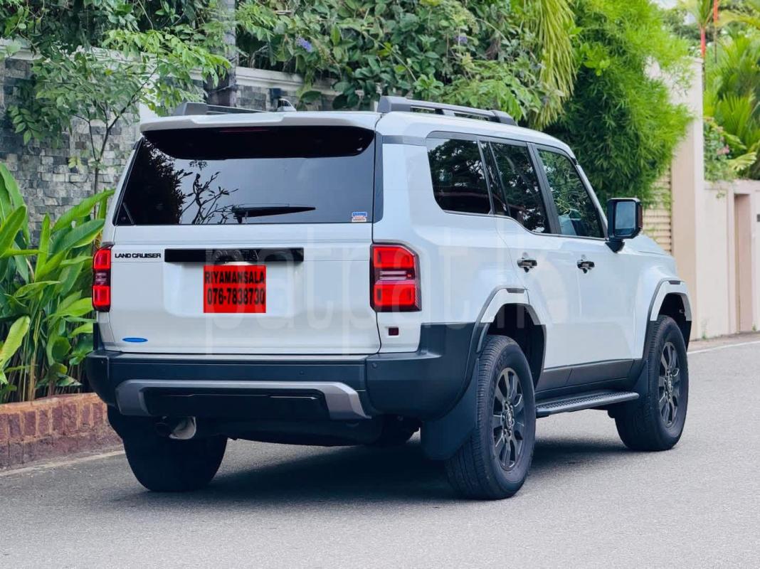 Advertisement image 6