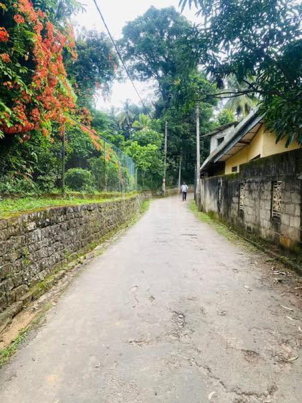 Residential Land for Sale in Gampola ads-image-1