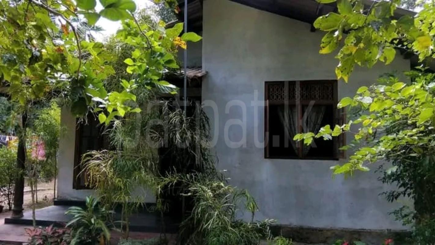 Residential Land for Sale in Gampaha ads-image-1