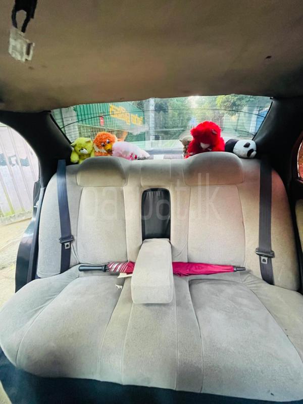 Advertisement image 6