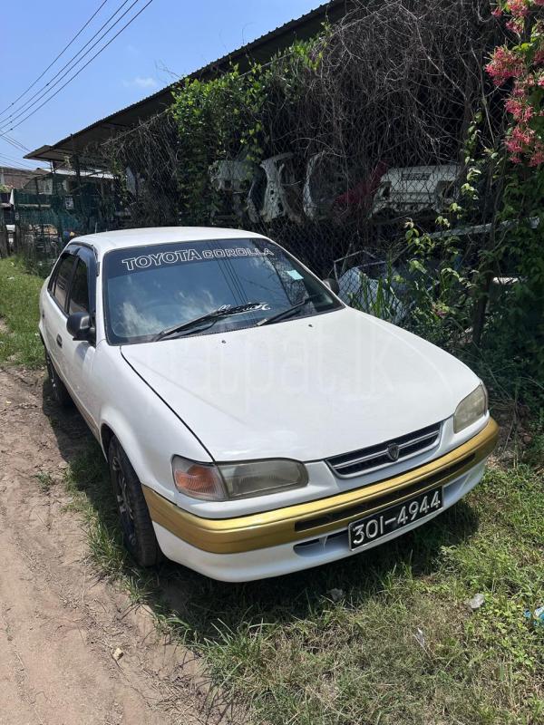 Toyota Corolla 1996 - பயன்படுத்தப்பட்டது கார் sale in Sri Lanka - patpat.lk