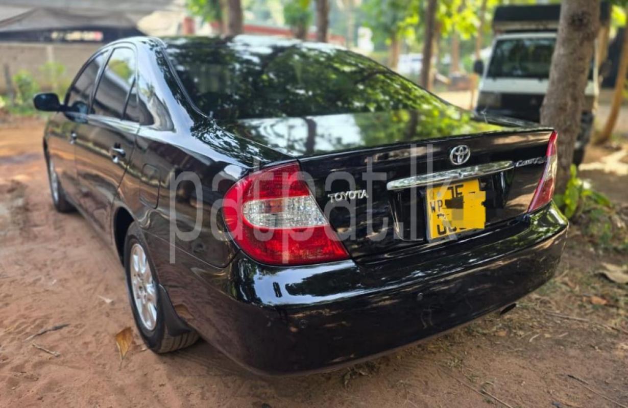 Advertisement image 3