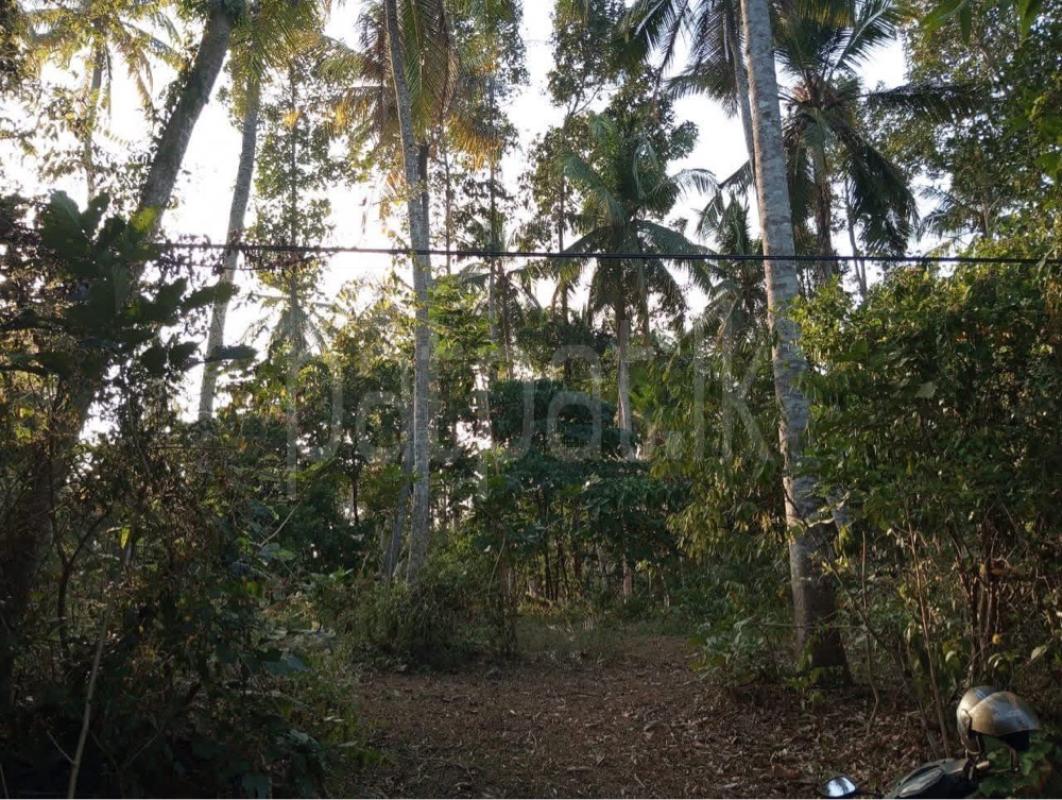 Agricultural Land for Sale in Badalgama