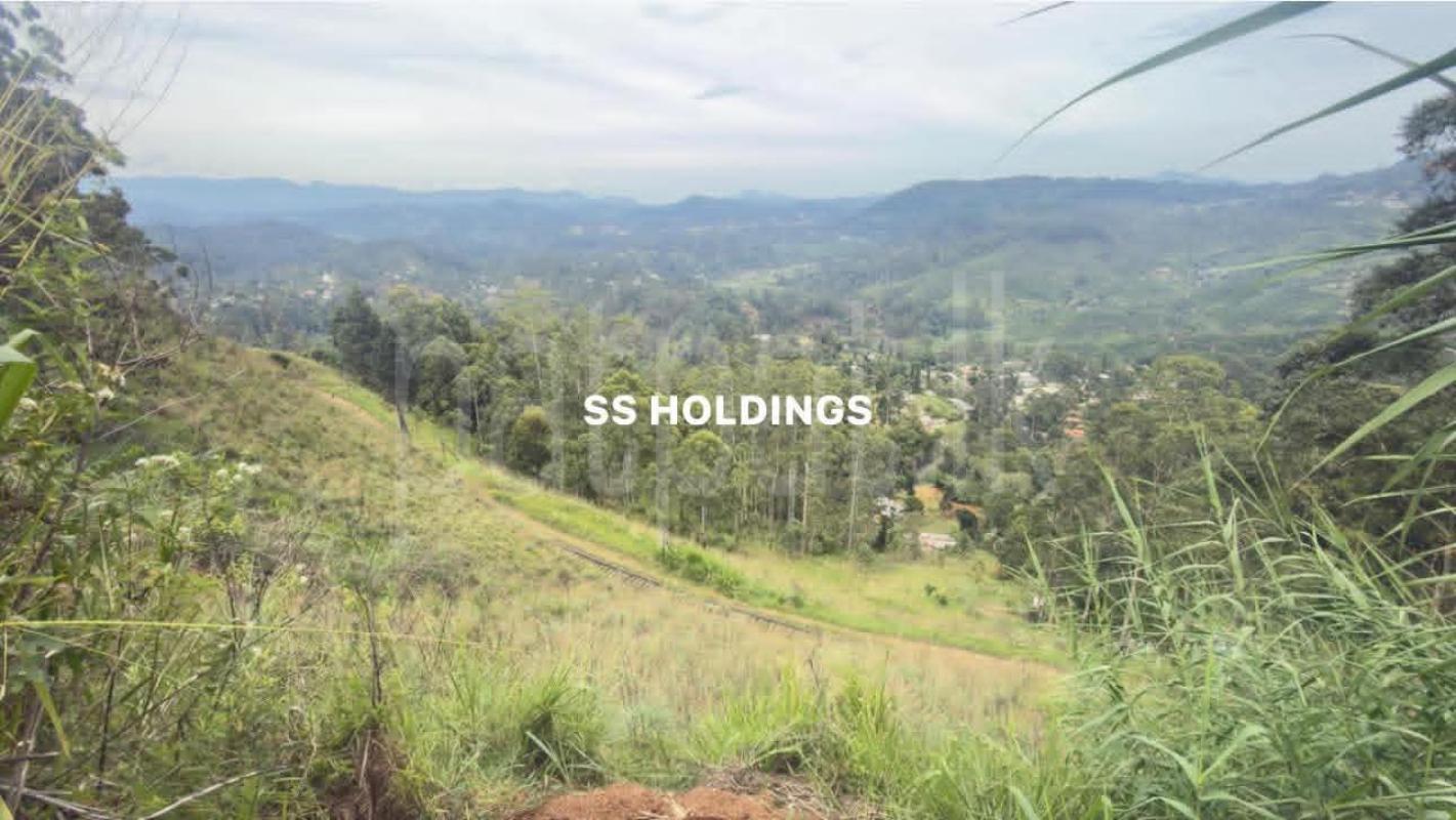 Commercial Land for Sale in Boralanda