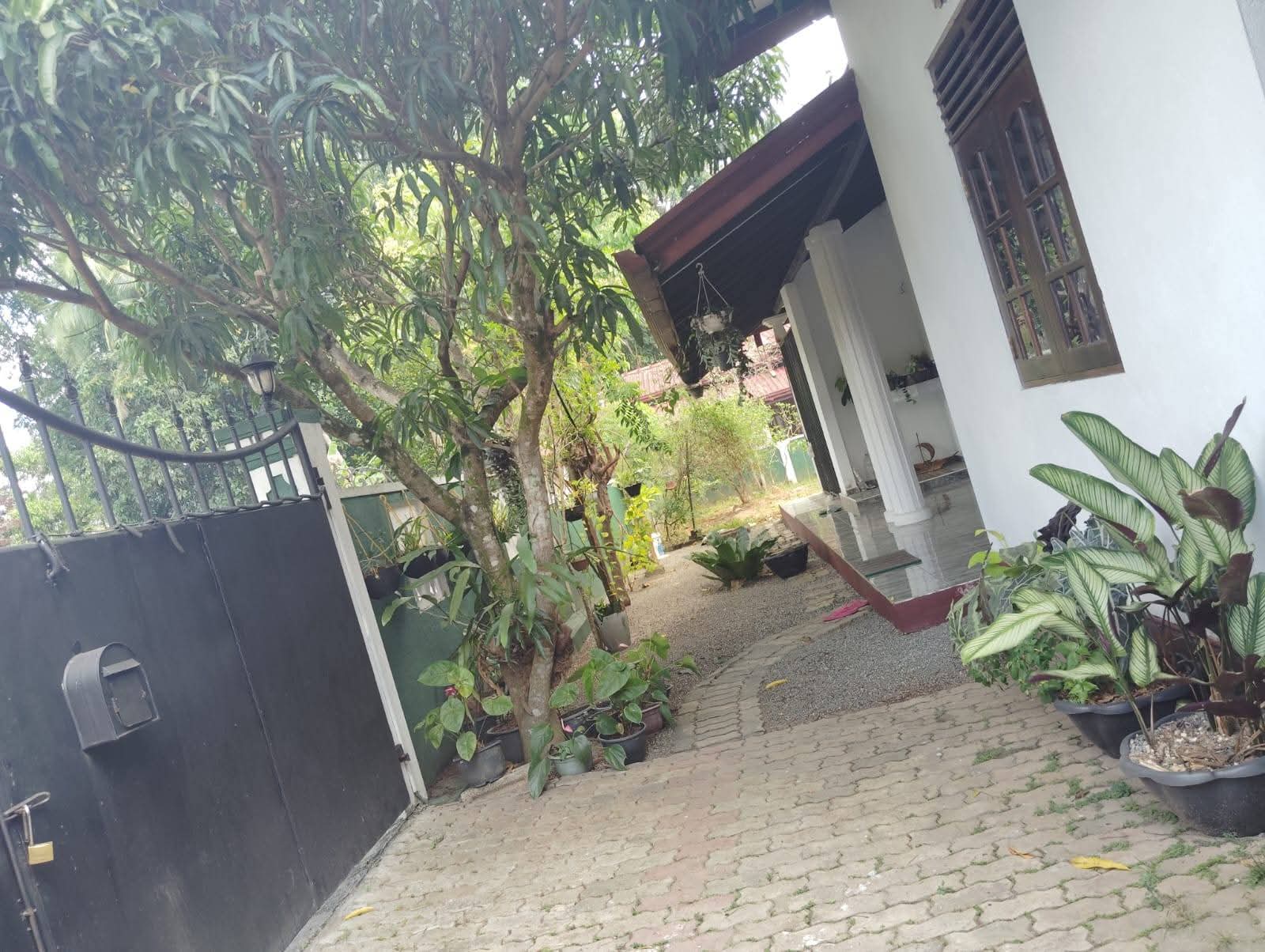 House for Sale in Weliveriya