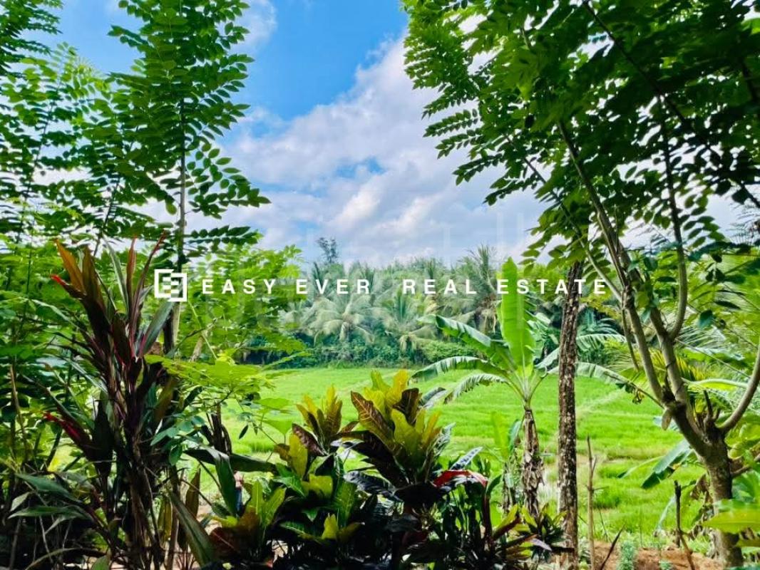 House for Sale in Nittambuwa