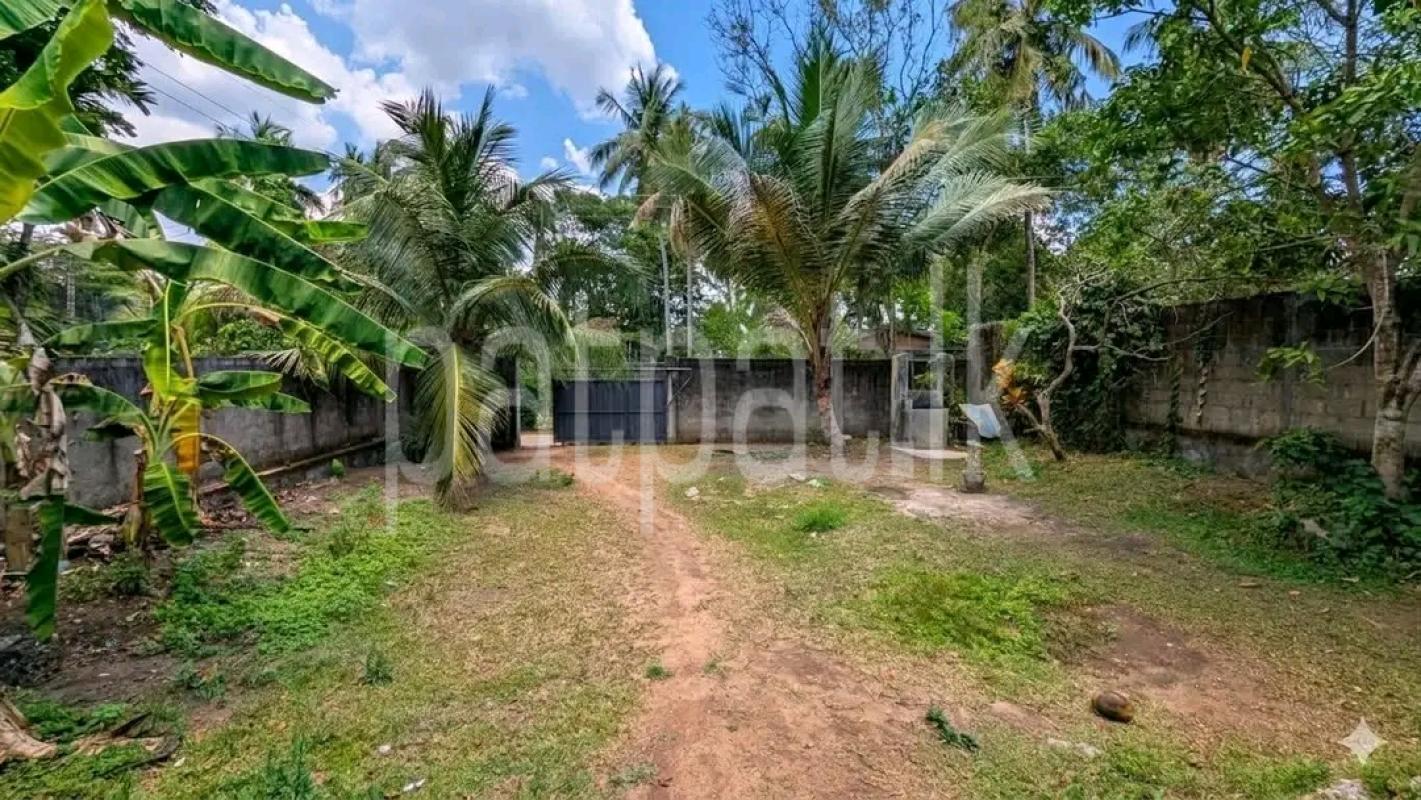 Residential Land for Sale in Ja-Ela ads-image-1