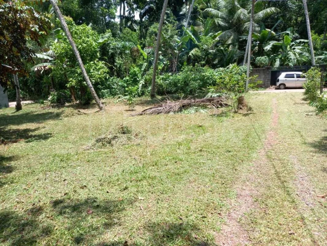 Agricultural Land for Sale in Gampola
