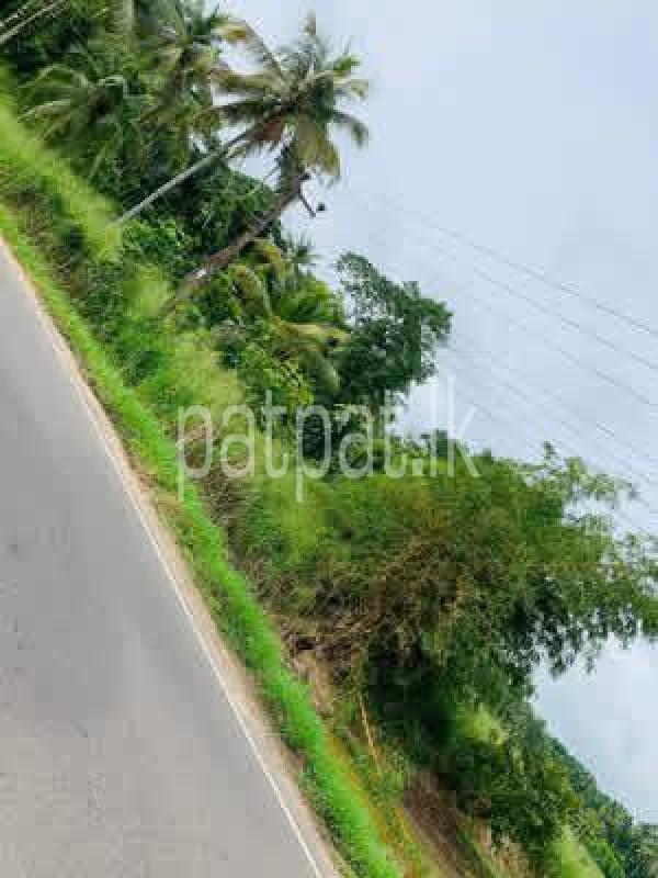 Residential Land for Sale in Veyangoda