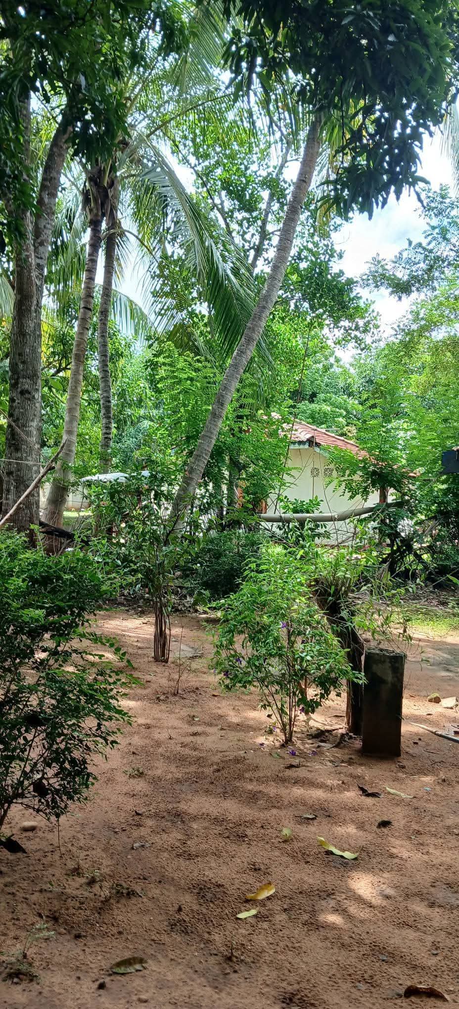 Residential Land for Sale in Kataragama
