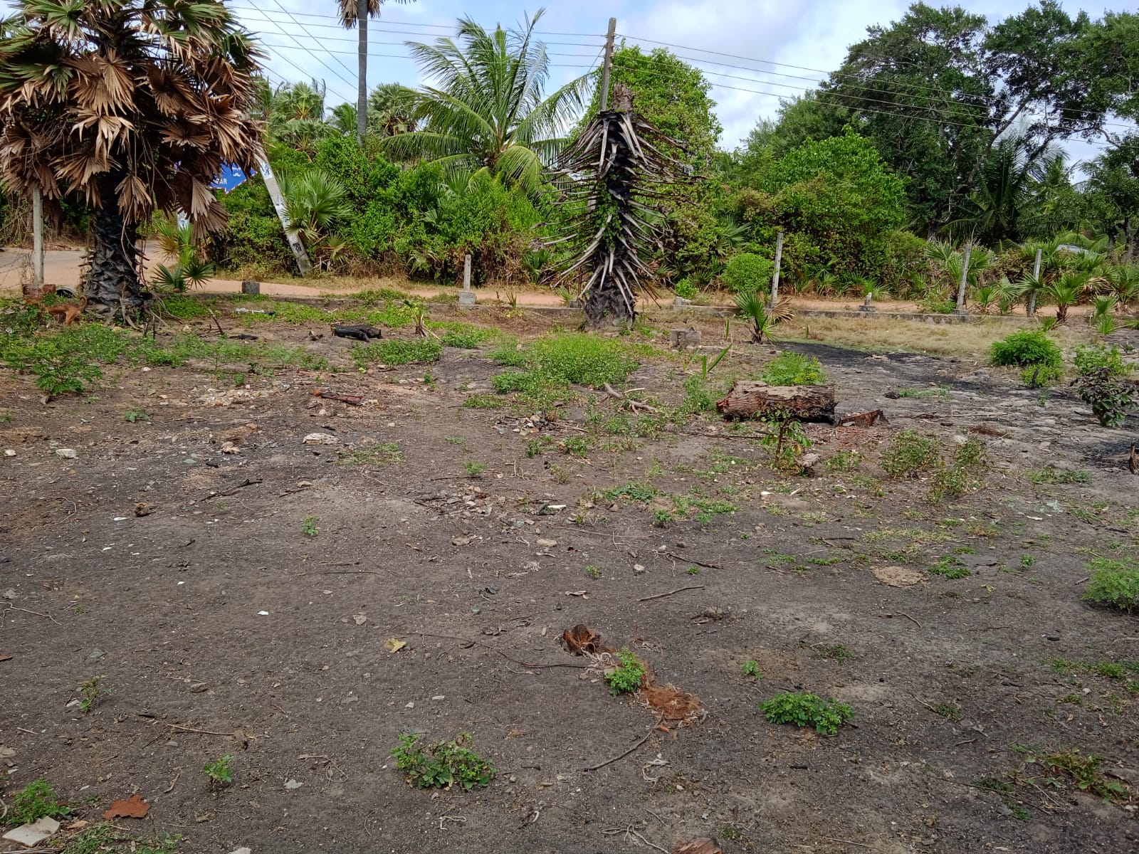 Commercial Land for Sale in Puttalam