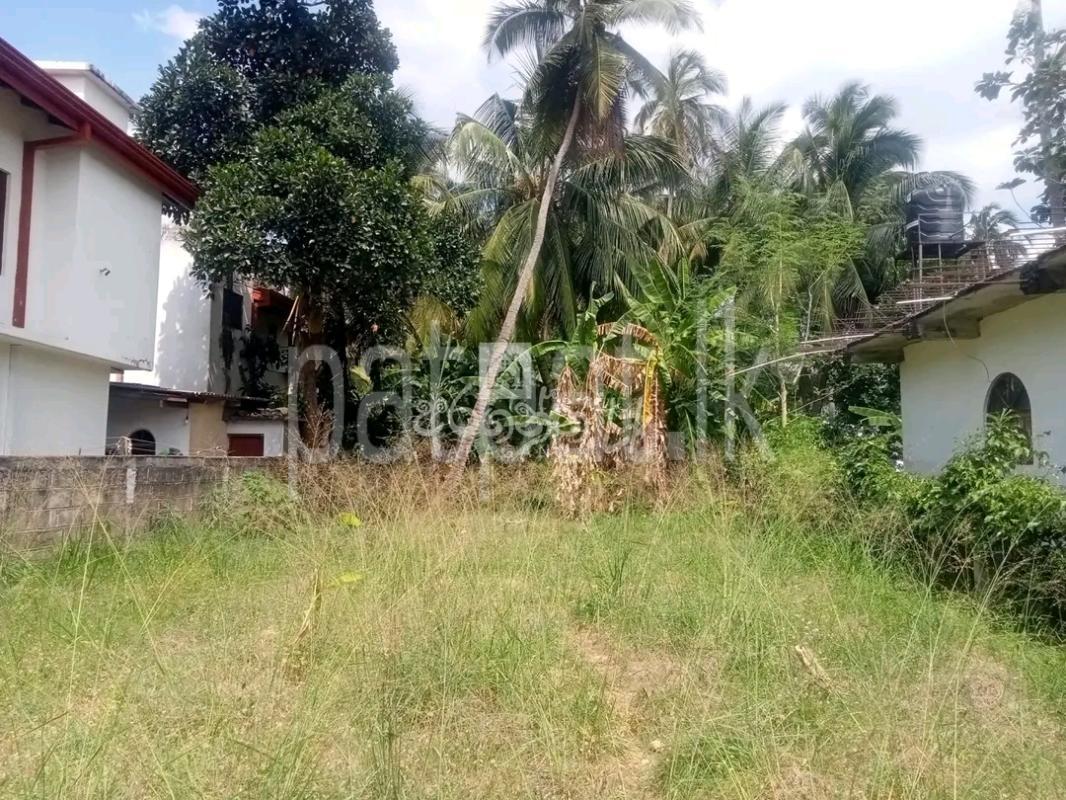 Residential Land for Sale in Kandana ads-image-1