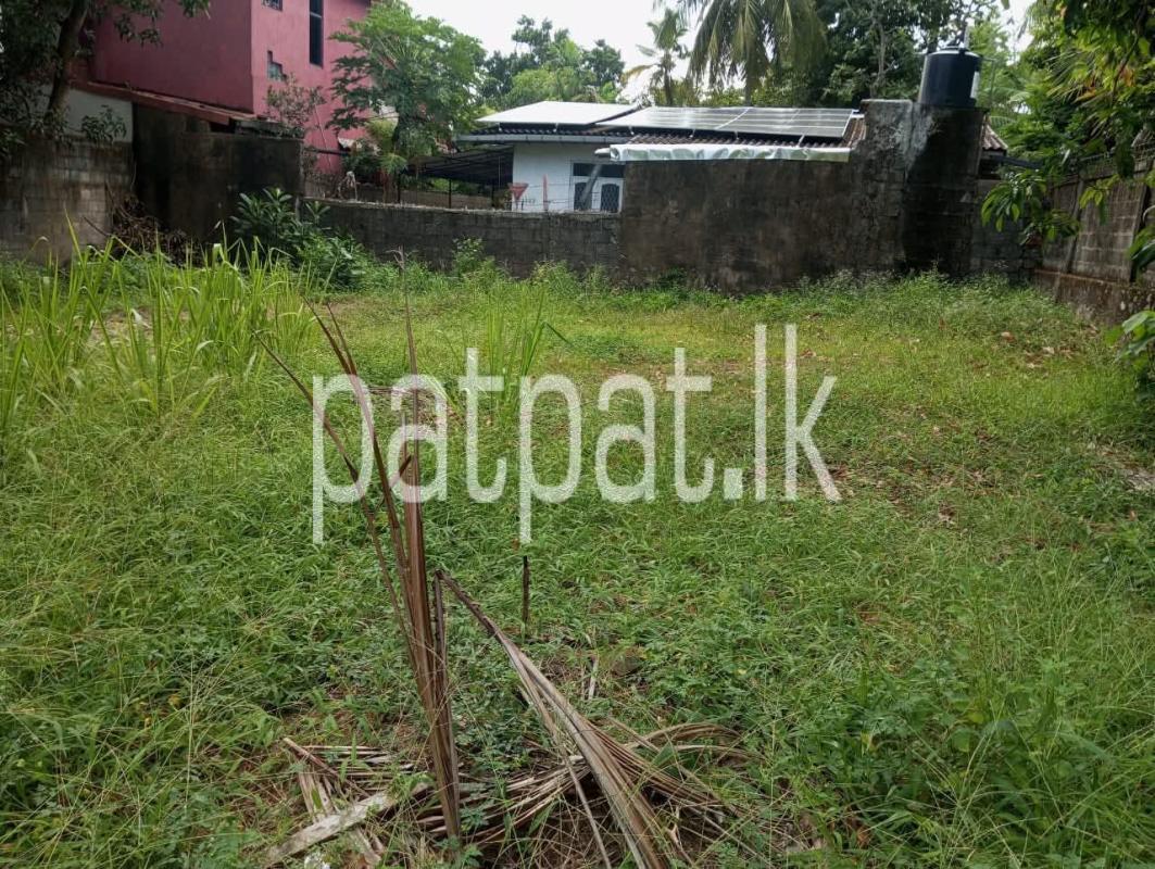 Advertisement image 6