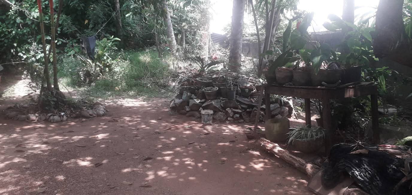 Commercial Land for Sale in Malabe ads-image-1