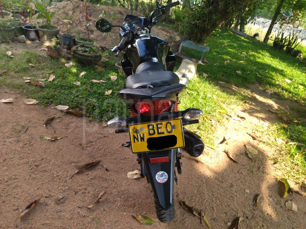 Honda Twister 2017 - Used Bike sale in Sri Lanka - patpat.lk