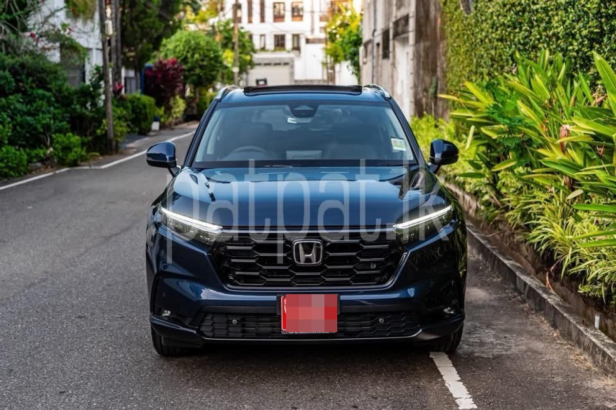 Advertisement image 1