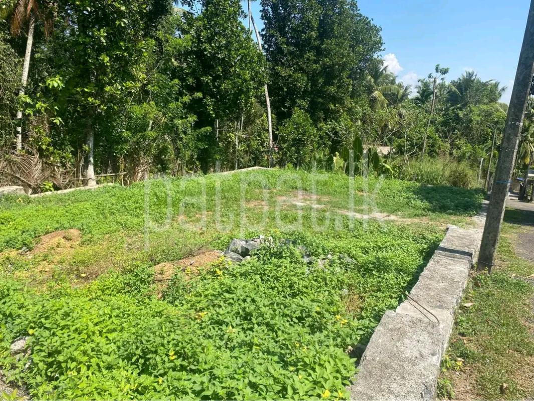 Residential Land for Sale in Avissawella ads-image-1