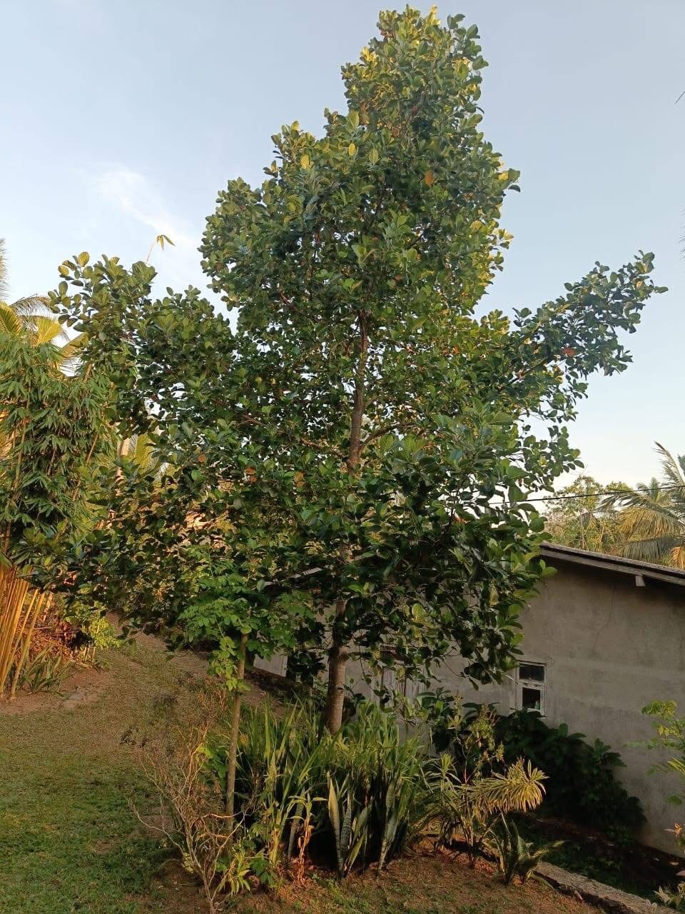 House for Sale in Kesbewa